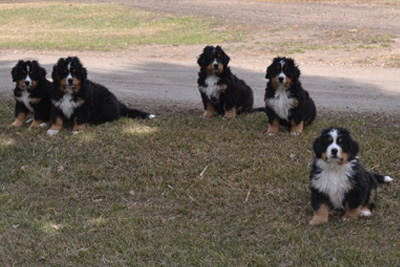 Keytanos 5 weeks